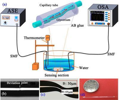 Highly Sensitive Temperature Sensing Probe Based on Deviation S-Shaped Microfiber